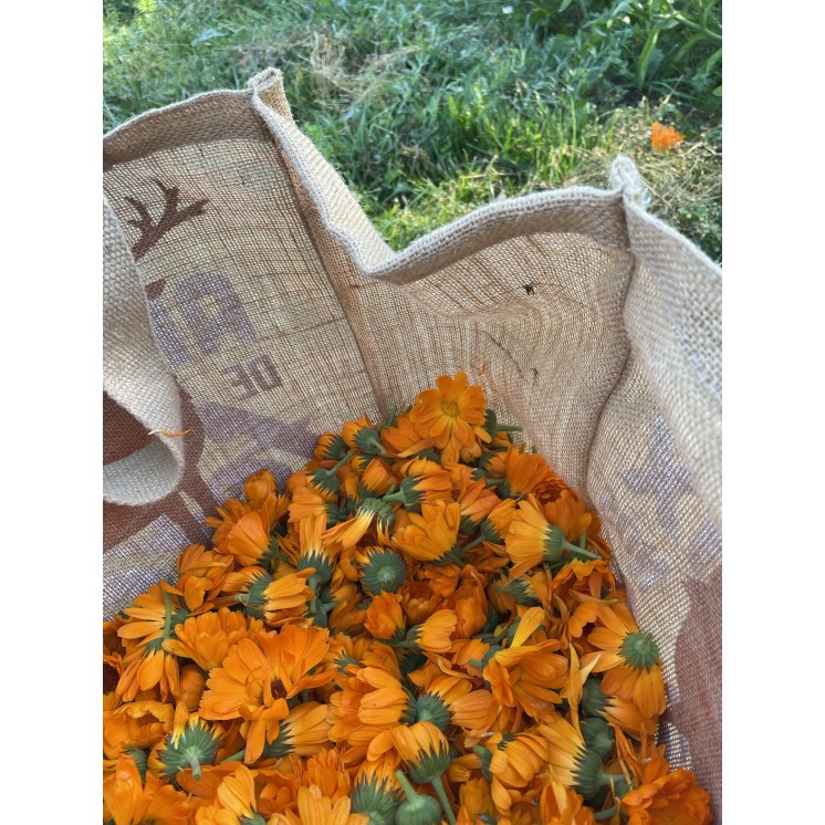 Pack Douceur Automne | Cosmétique Naturelle La Pich