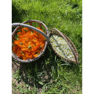 Fleurs fraîches