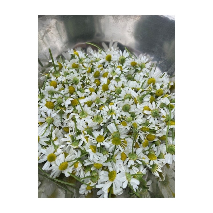 massage detente et recuperation sportive coffret noel artisanal