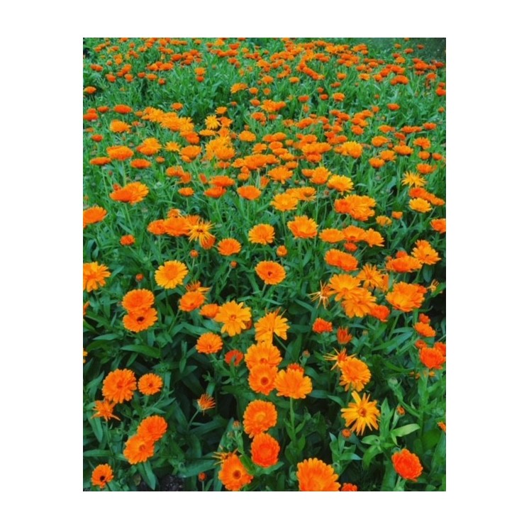 Coffret Nouvelle Routine