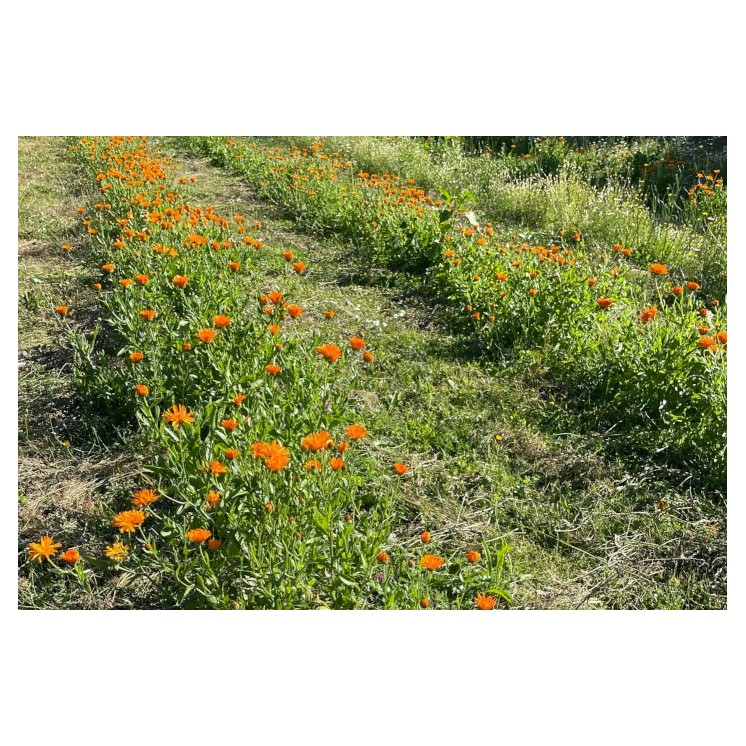 Atelier cosmétique sur mesure